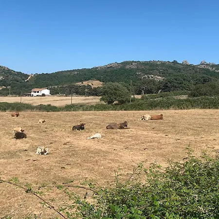 Dom wakacyjny Stazzo Casa Bianco Fly