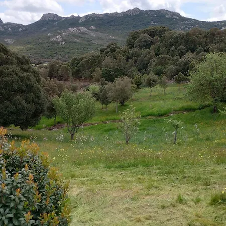 Stazzo Casa Bianco Fly *